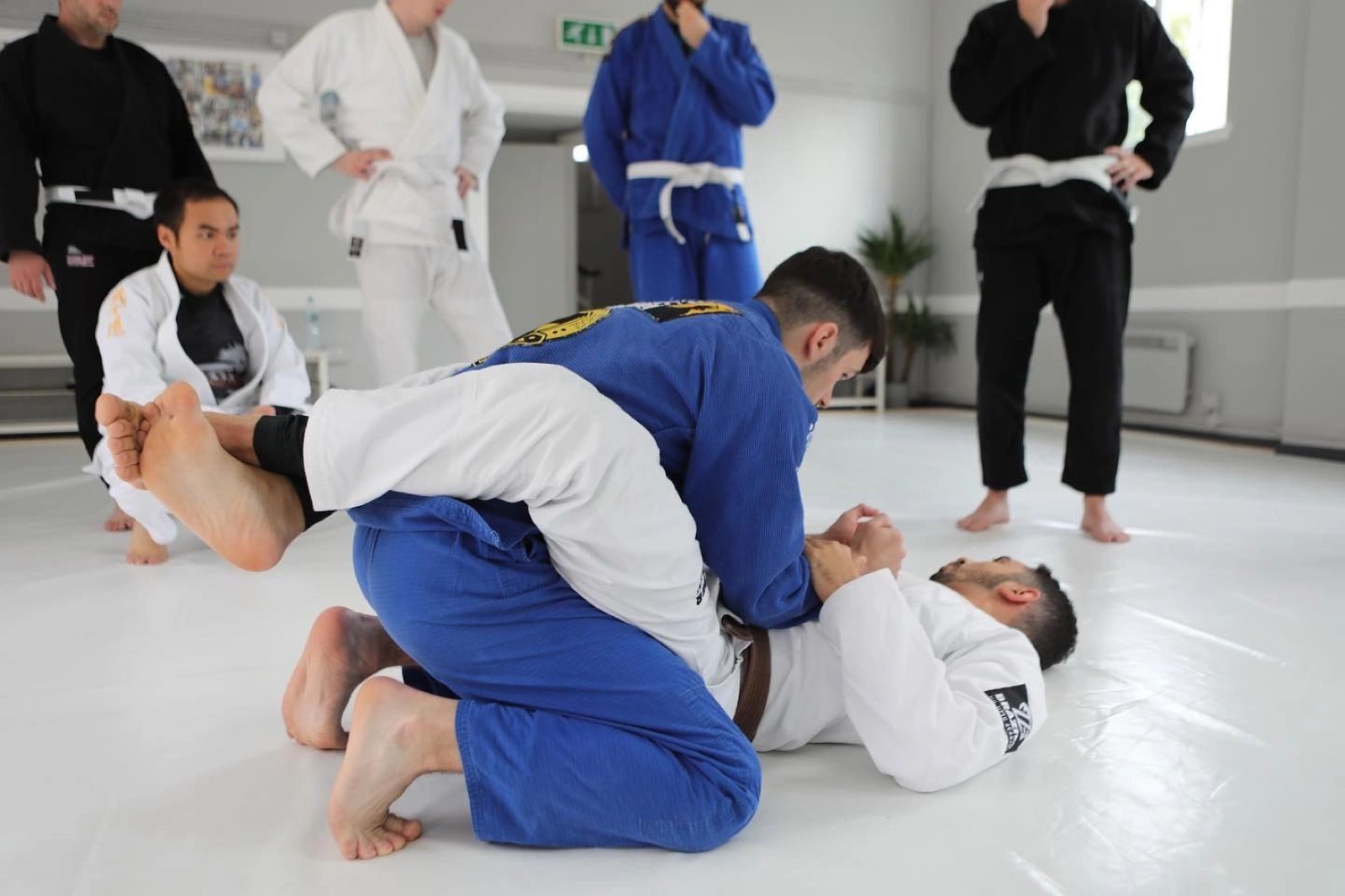 The mats at Brazier Jiu Jitsu Academy